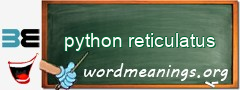 WordMeaning blackboard for python reticulatus
